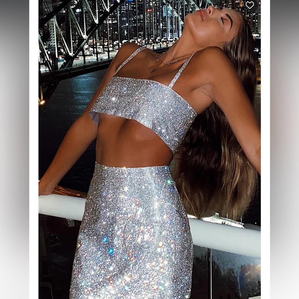 Breathtaking Crop Silver - White Fox Boutique NWT